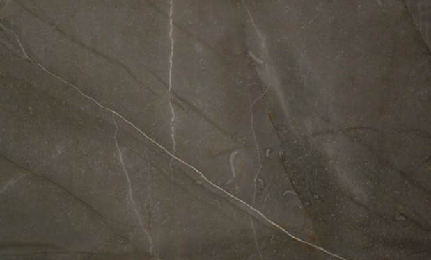 Gris Pulpis