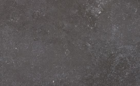Fossil