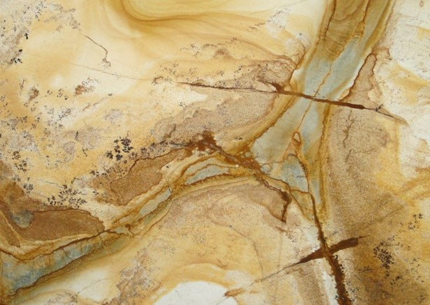Palomino