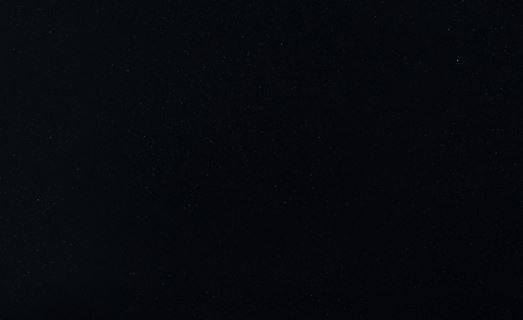 Taurus Black